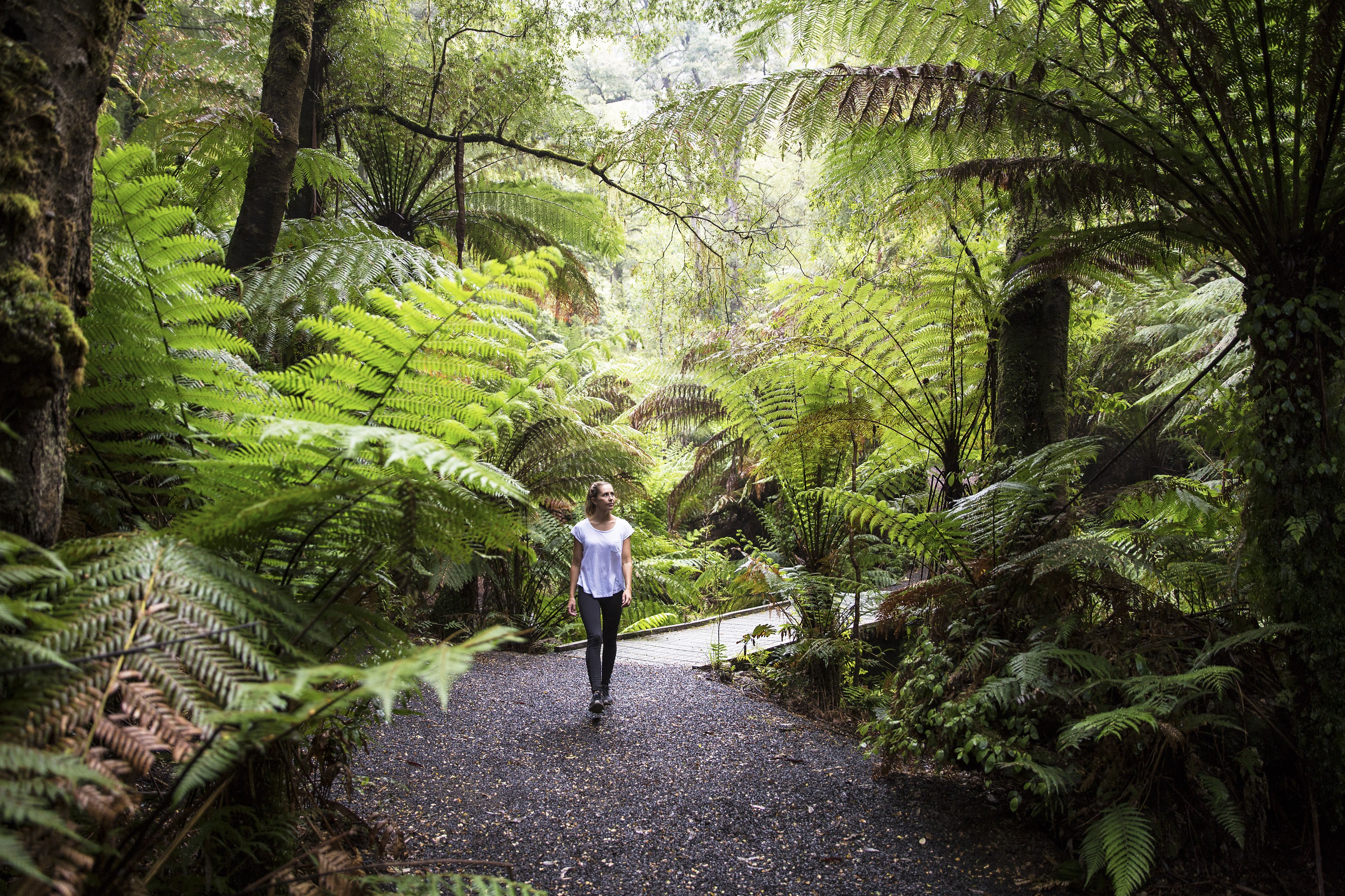 Tarra Bulga