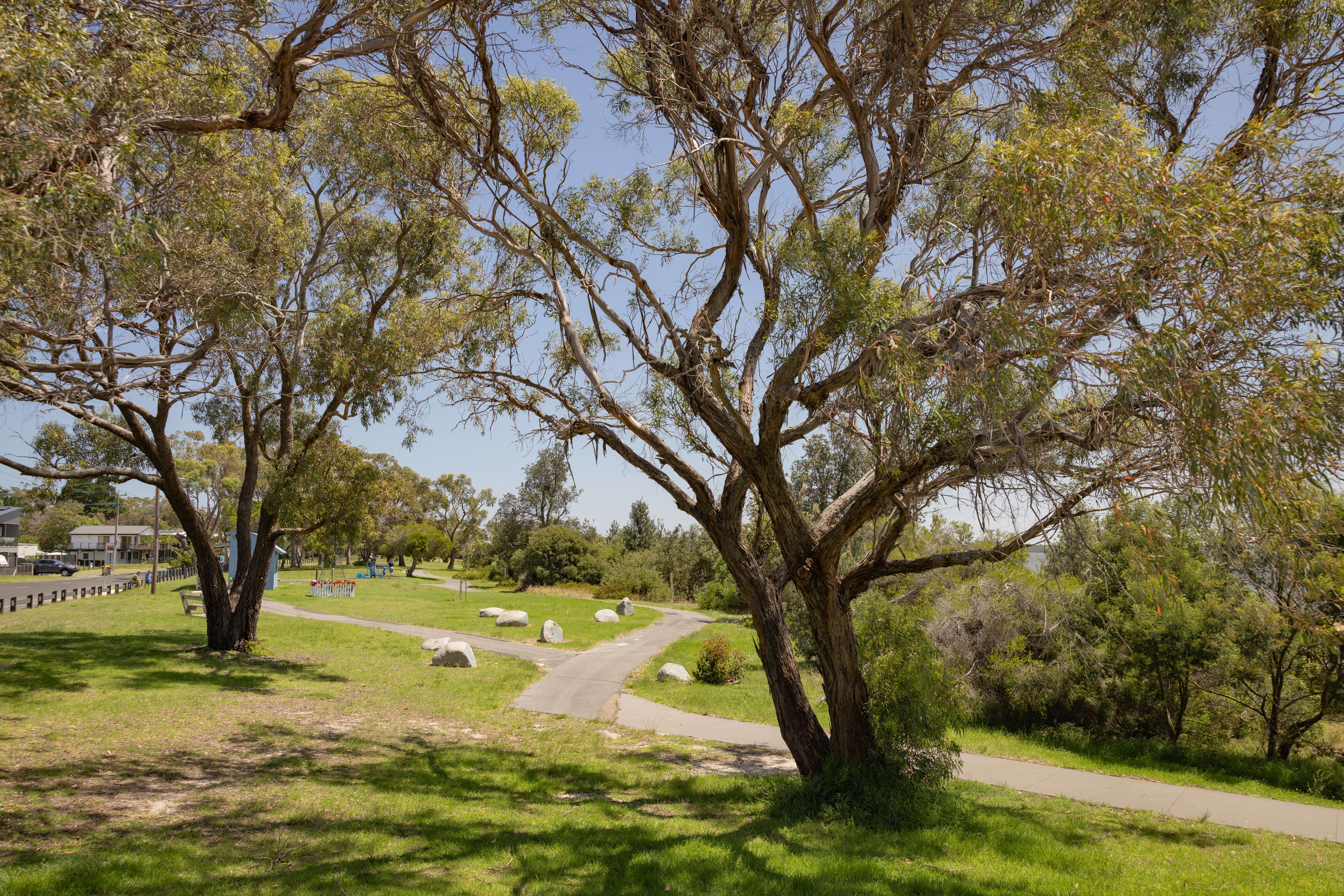 Lions Park 2